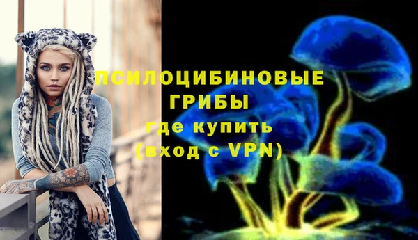 a pvp Алексеевка