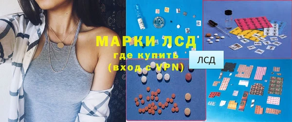крисы Алзамай