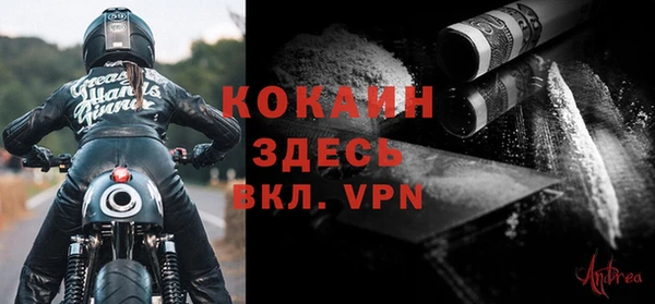 крисы Алзамай