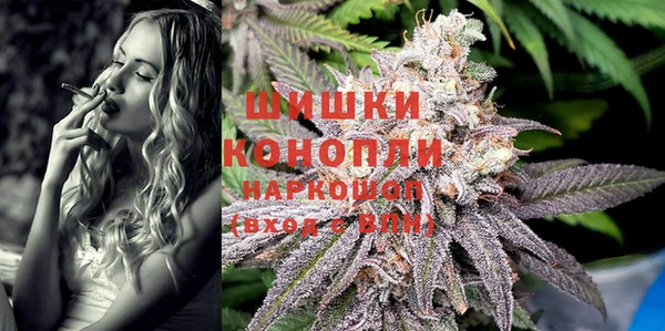 крисы Алзамай